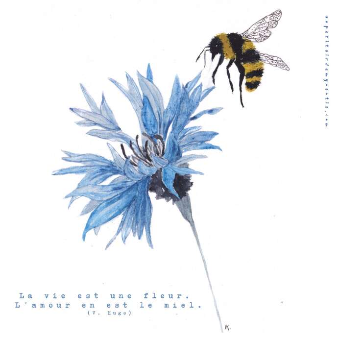 Exposition - Un petit air de myosotis