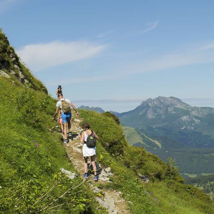 The educational trail on mountain animals
