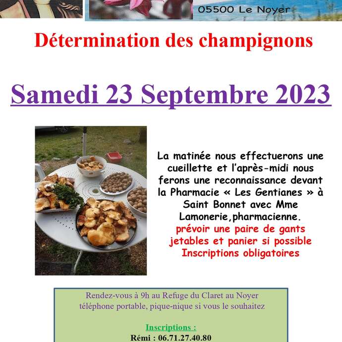 Reconnaissance des champignons