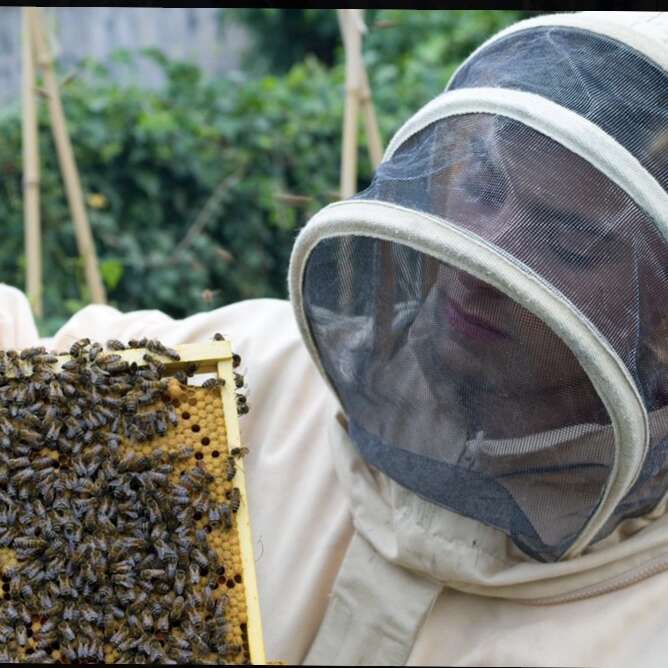 Les ruchers de la Loire*