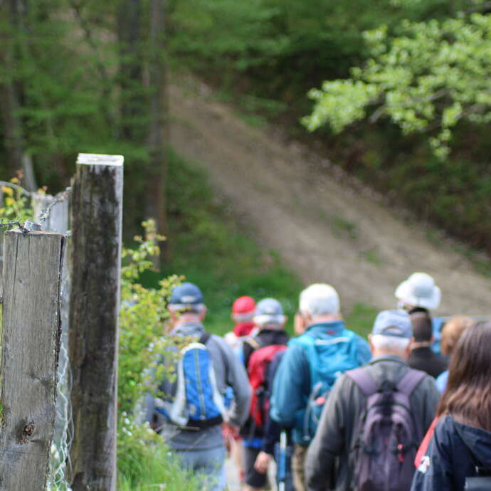 17ème marche des pompiers