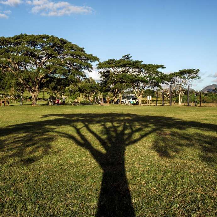 Parc public Thérèse et Louis Soury-Lavergne