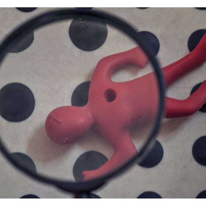 Ludo polar- Escape game