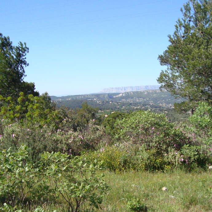 Le Mont du Marseillais - Journée