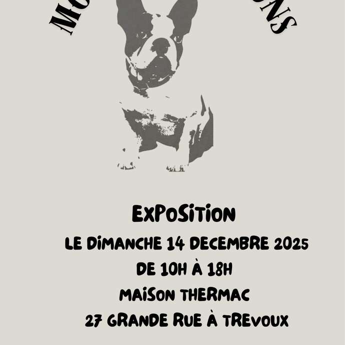 EXPOSITION MOODS CREATIONS