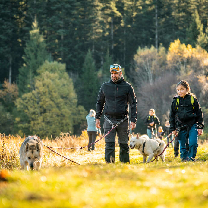 Hiver 2025/2026 - Bougez dans le Pilat - Cani-randonnée (à partir de 8 ans) - Saint-Régis-du-Coin