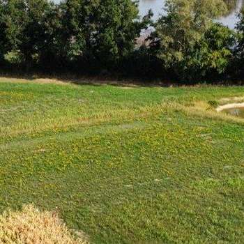 Visite et découverte de la plateforme d'essais agricoles AgroDombes