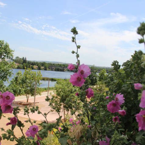 Exposition photographique