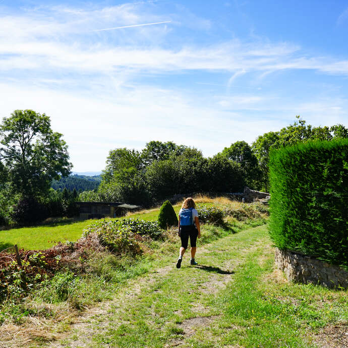 Chemin de la poix