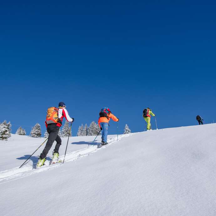 Teambuilding sur mesure avec la Cie des Guides