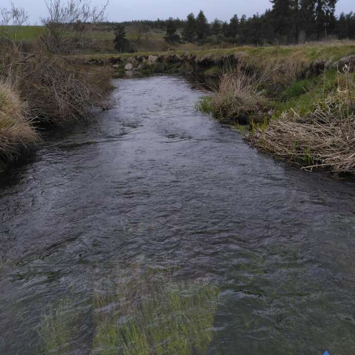 Bord de rivière