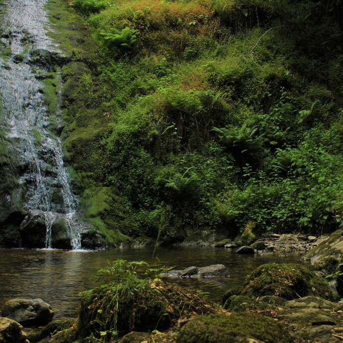 Chemin des cascades