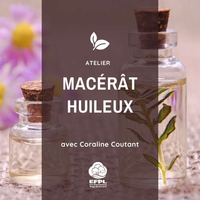 Atelier : Macérât huileux