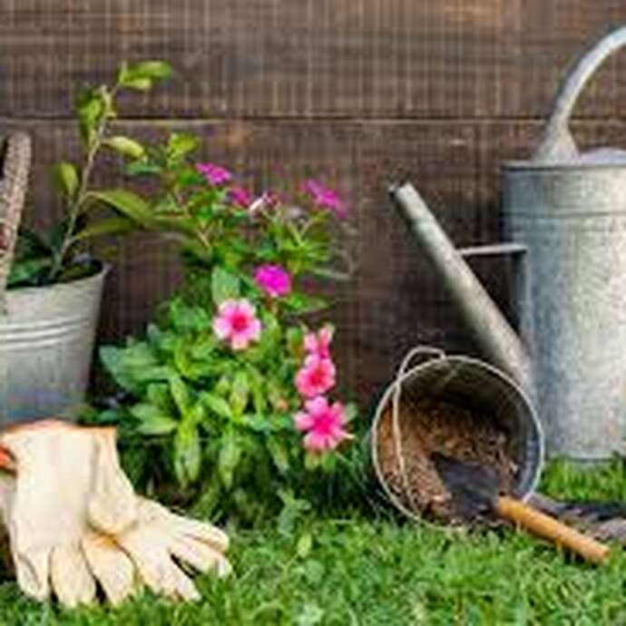 Visite de jardin
