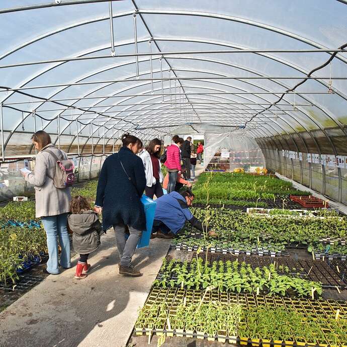 Vente annuelle de plants bio