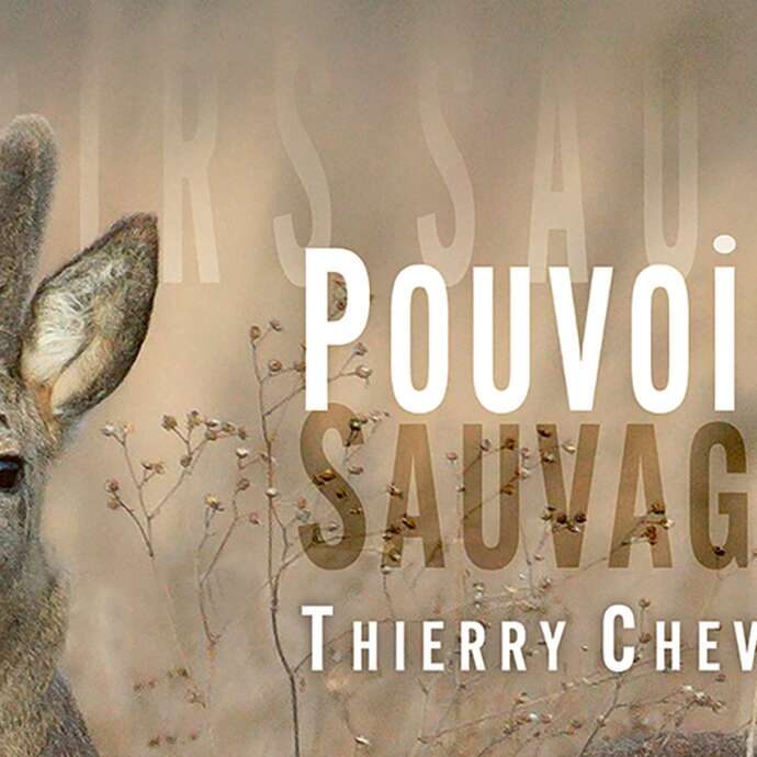 Pouvoirs Sauvages