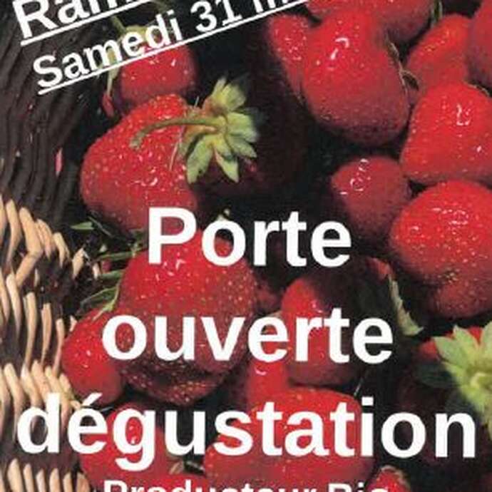 Ramène ta fraise