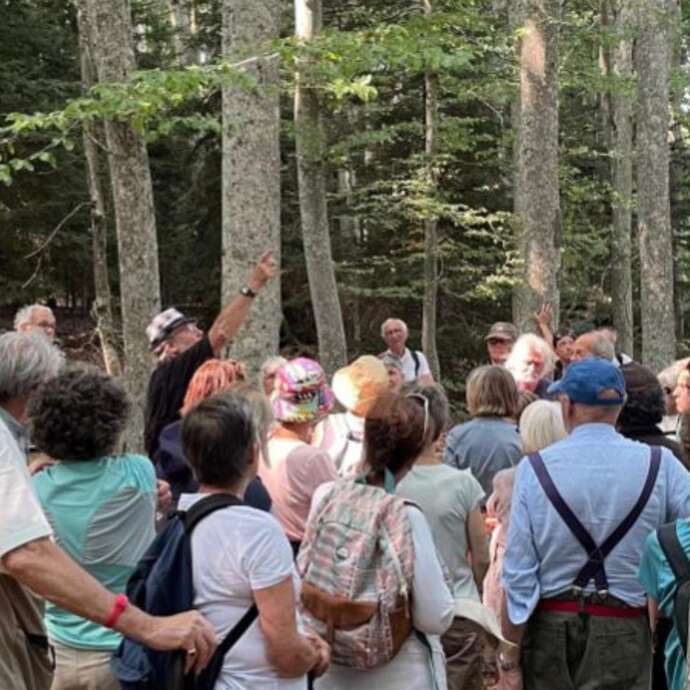 Lectures sous l'arbre