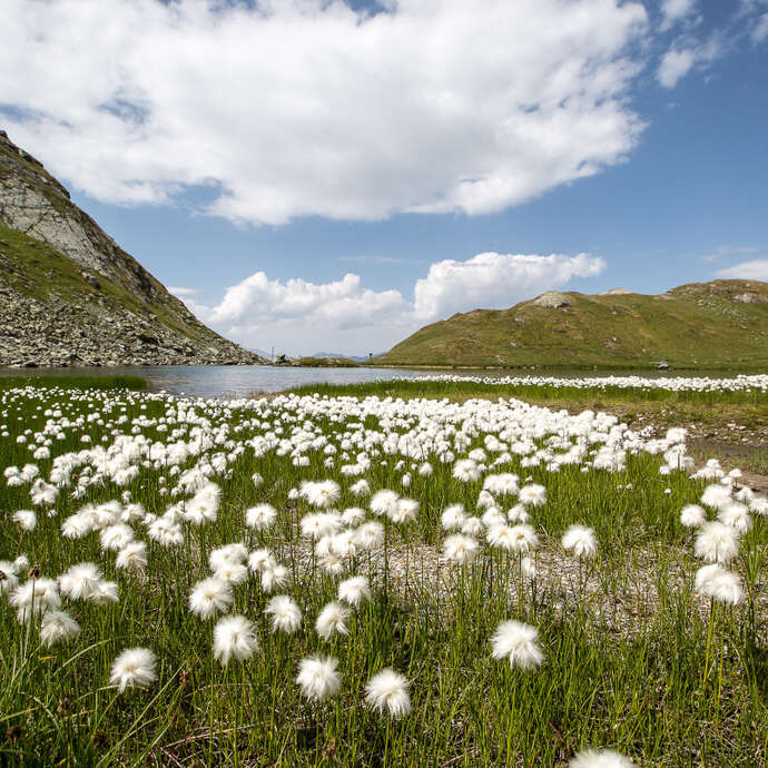 Clean-up Tour Verbier
