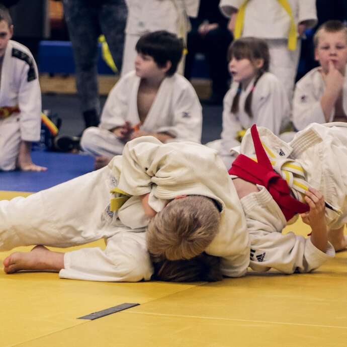 Gala de judo