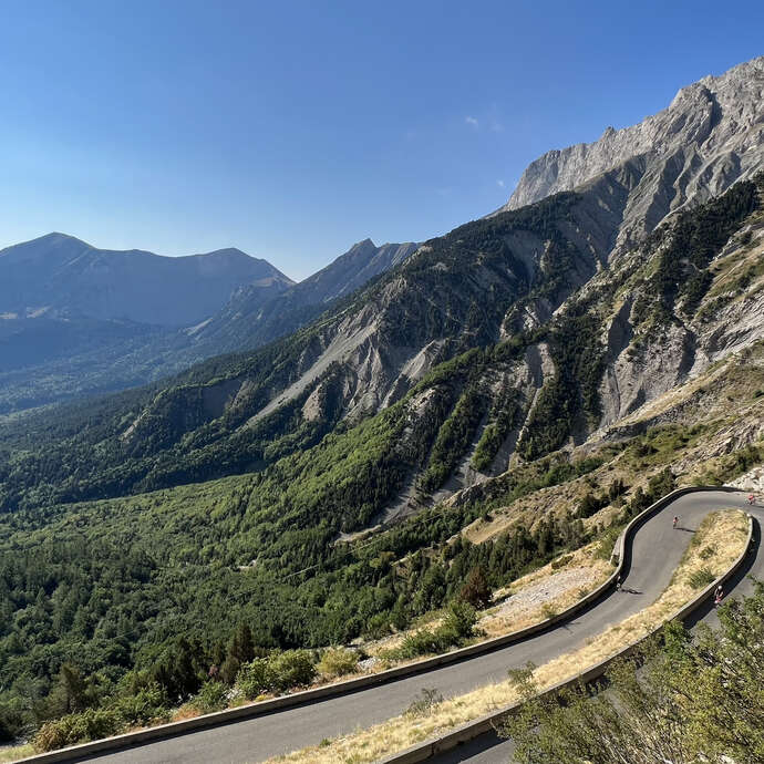Festival de l'Alpage : À la découverte des plantes du Col du Noyer