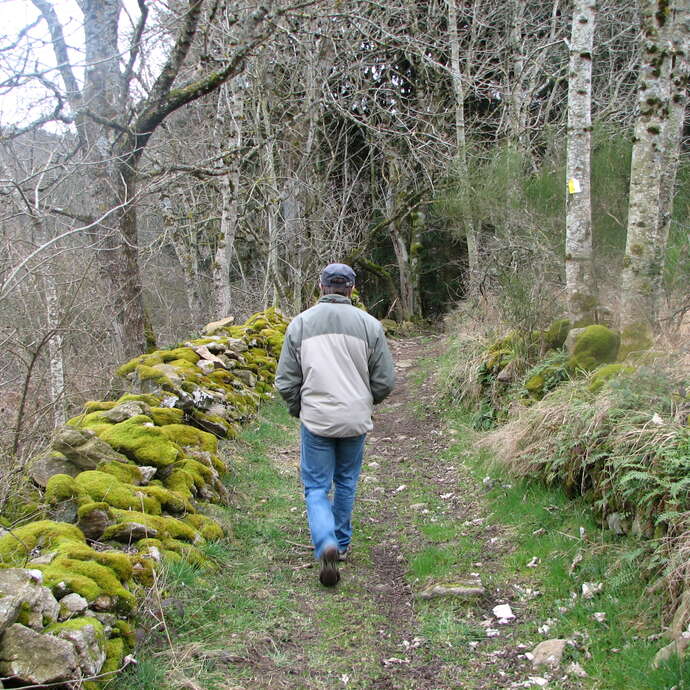 Sentier botanique de Subertha