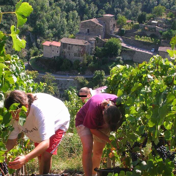 Domaine Farjon