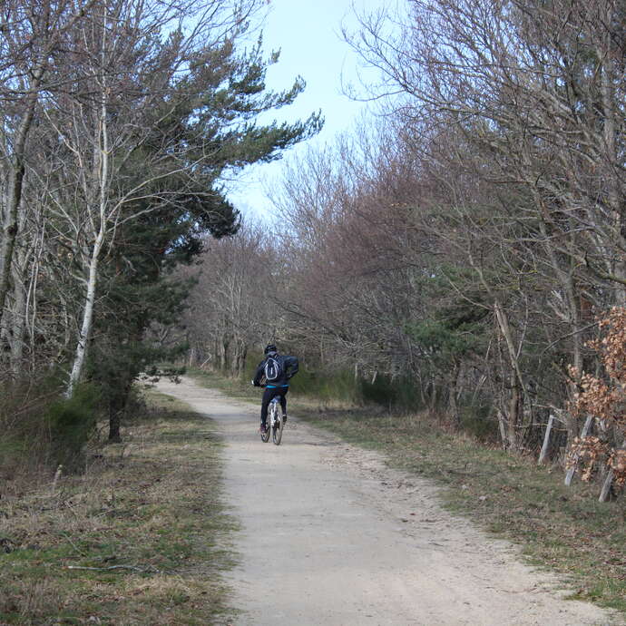 Aventuur treinspoor : wandelroute - paard-en mountainbike