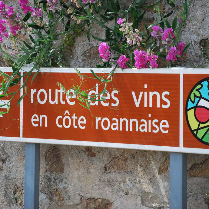 Route des Vins Forez-Roannais en Loire Volcanique (Côte Roannaise)
