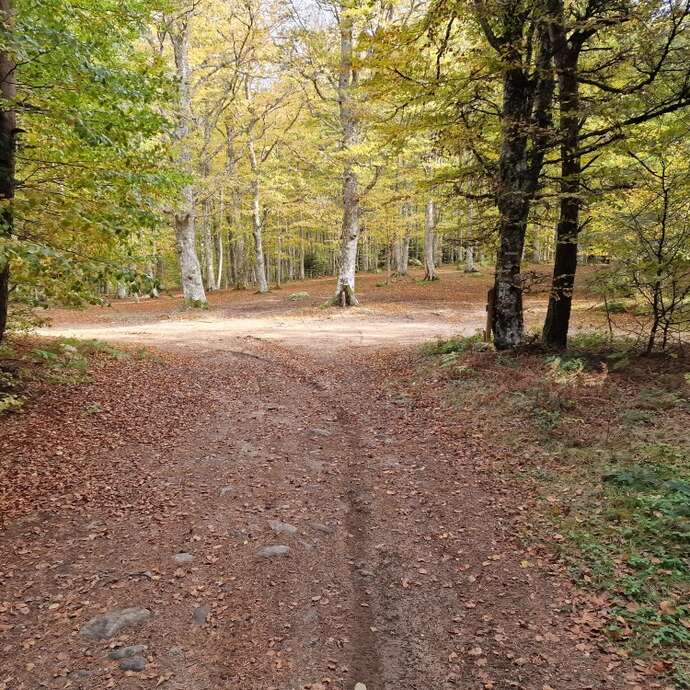 Parcours 3 jaune