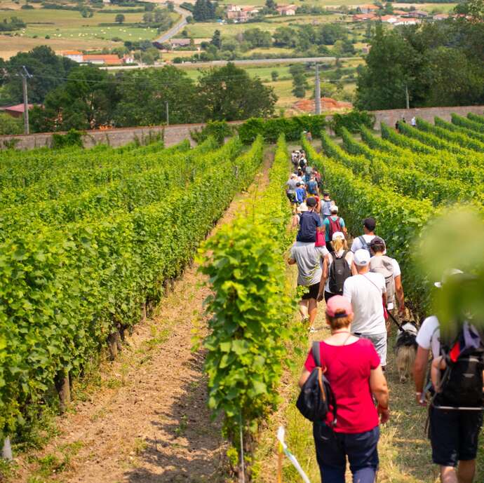 Balade Gourmande en Côte Roannaise samedi 4 juillet 2026