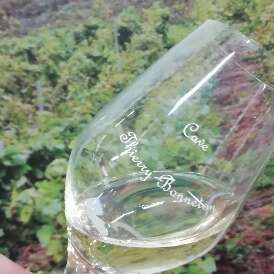 Domaine Bonneton