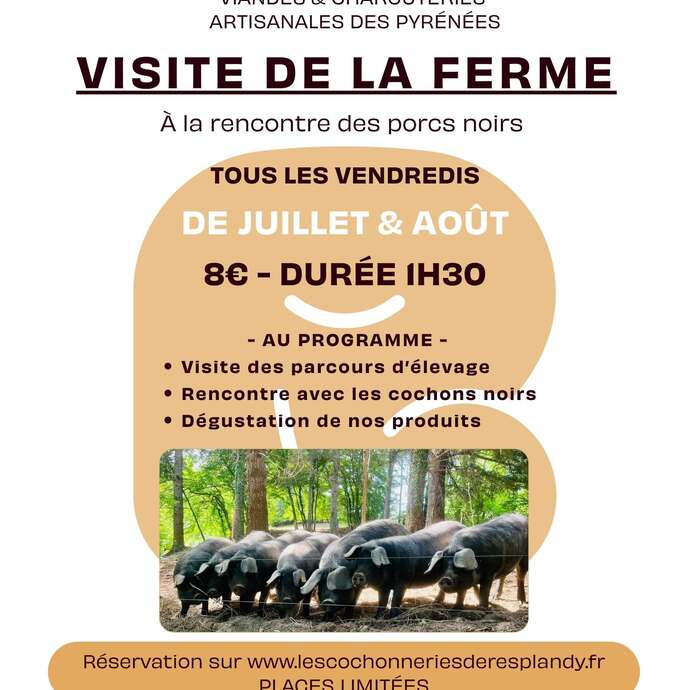 Visites à la ferme - Les Cochonneries de Resplandy