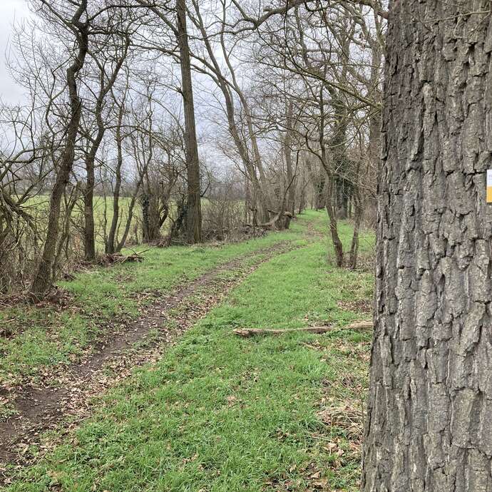 Sentier du castor - La Transligérienne : Montrond-les-Bains / Ecopôle du Forez