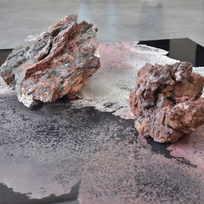 Exposition - A house of dust and lilies