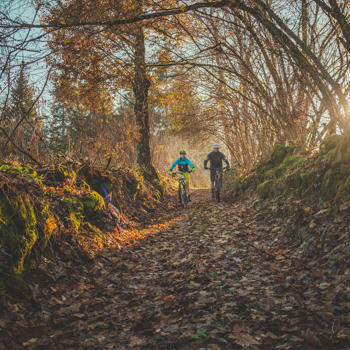 Circuit VTT Le col du Bouchet