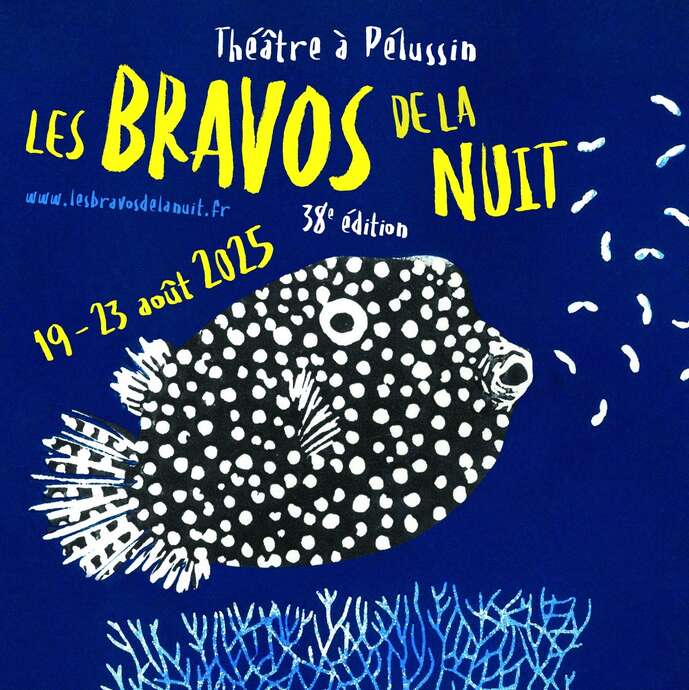 Festival Les Bravos de la Nuit