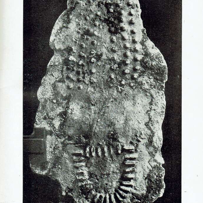 Ludo Polar - escape game - temps de jeux