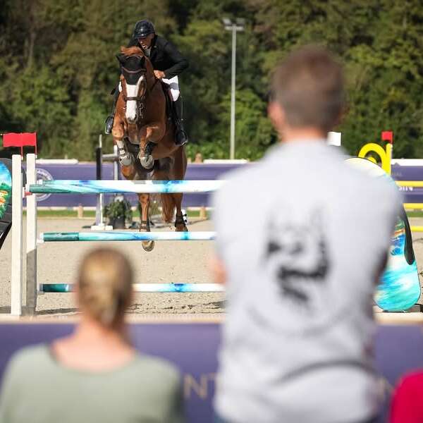 Concours de sauts international - Jumpings de mars et avril