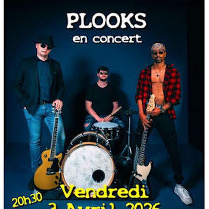 Concert "The Plooks " - Hall Blues Club