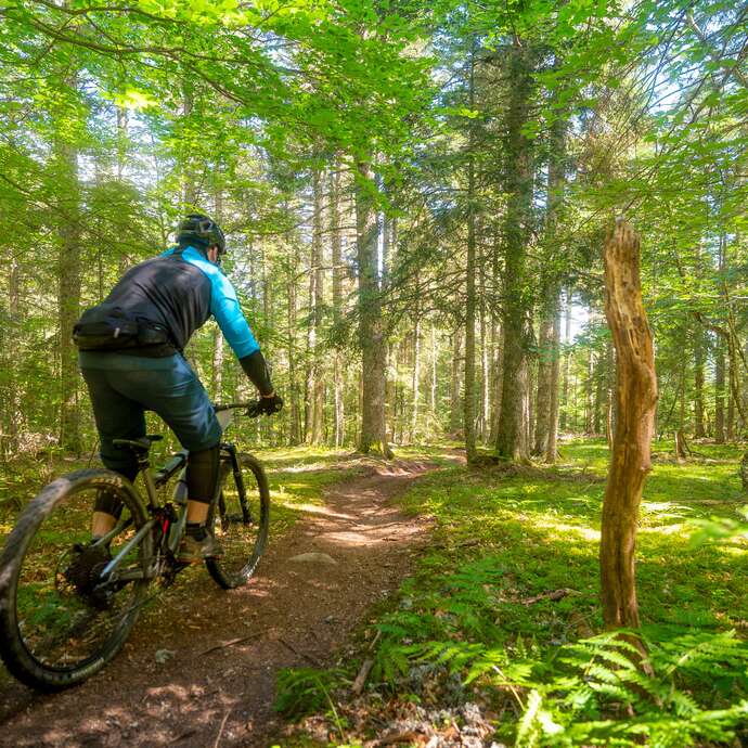 N°77 - La couzanaise - Circuit Enduro - Espace VTT-FFC Massif des Bois Noirs