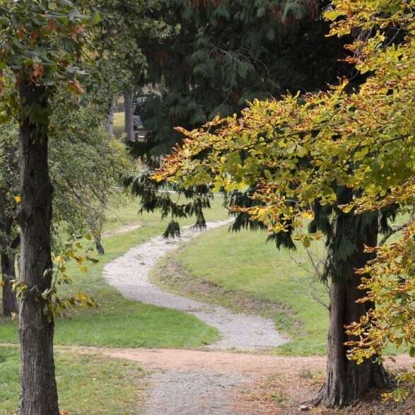 Marche des Gorges du désert