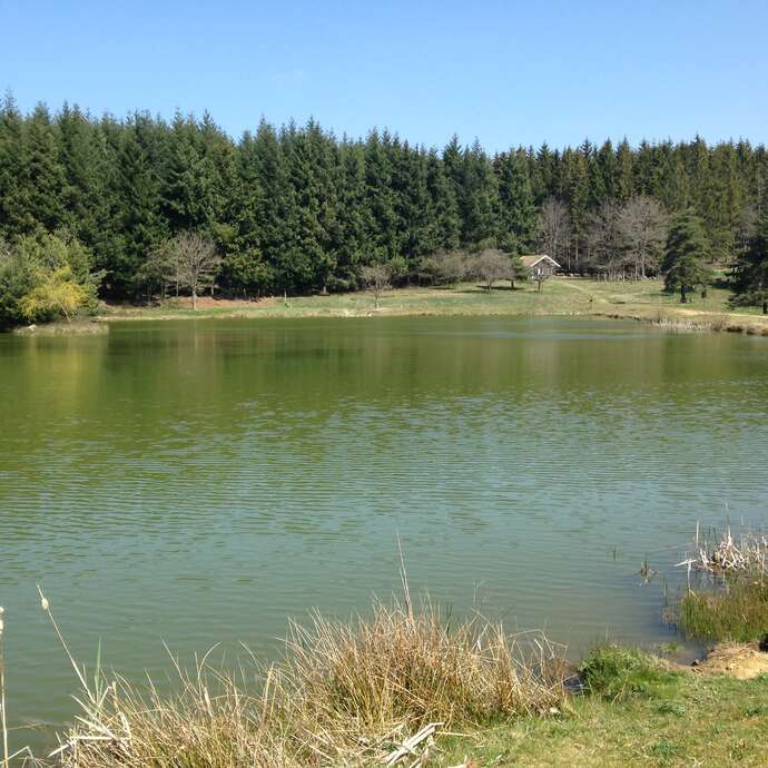 Sentier Le Saint-Cyrien