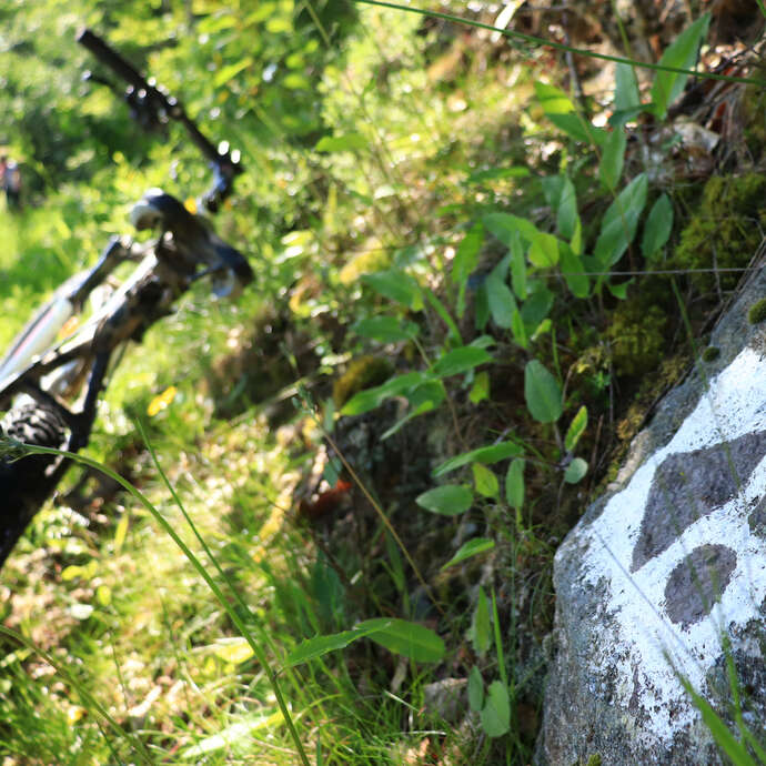 Circuit VTT : Les balcons du Rhône