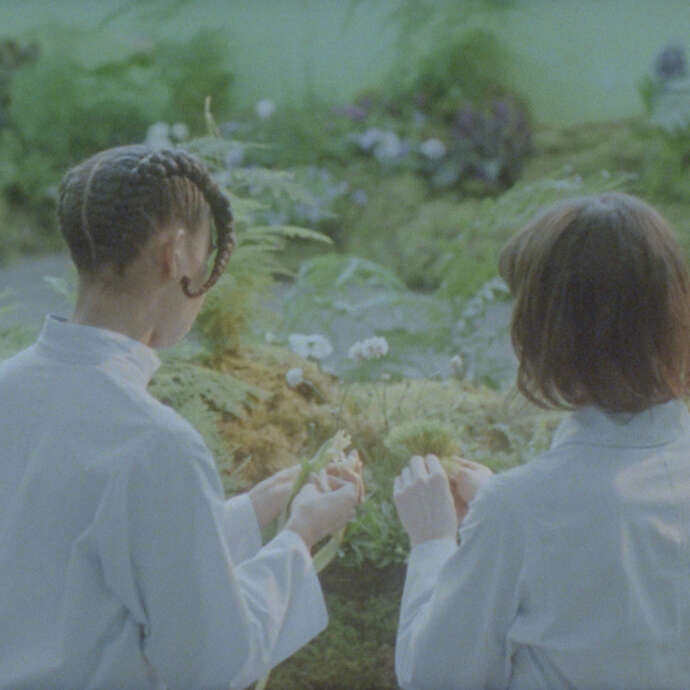 Exposition - I was in a garden. It felt like it belonged. somewhere else