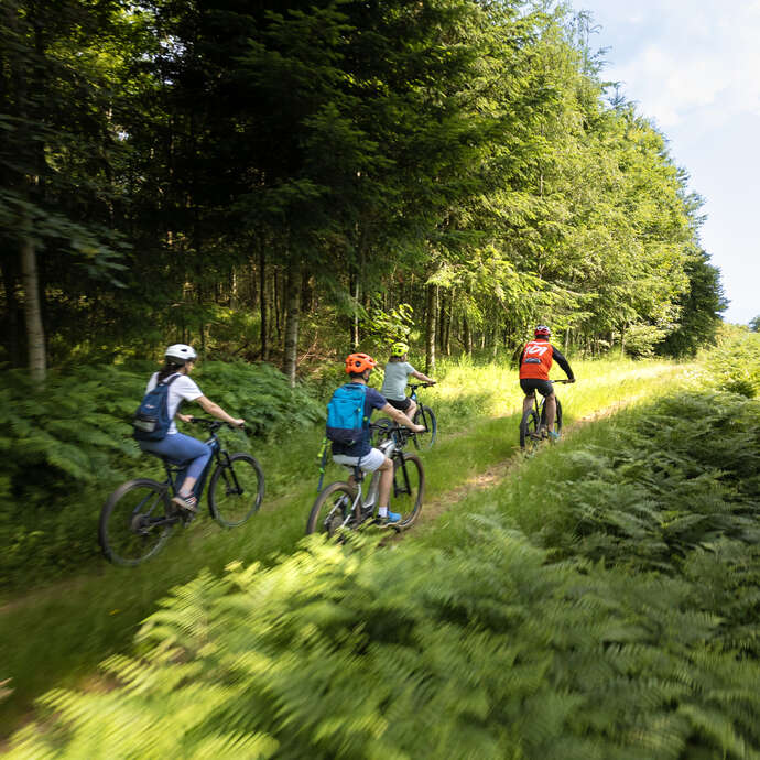 Le circuit du Machabré