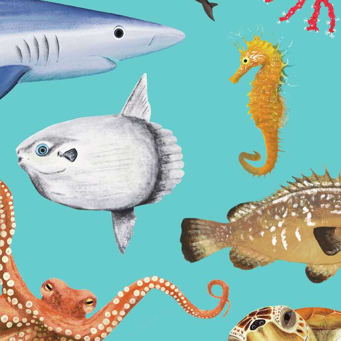 Exposition : Portrait d'animaux
