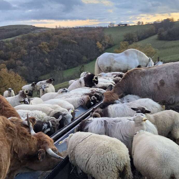 Goûter à la ferme de Castel Pouzouilh