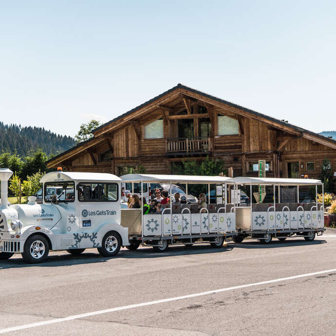Summer little train