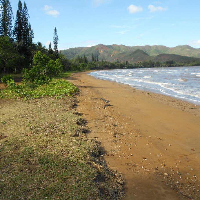Plage de la Baie de Plum